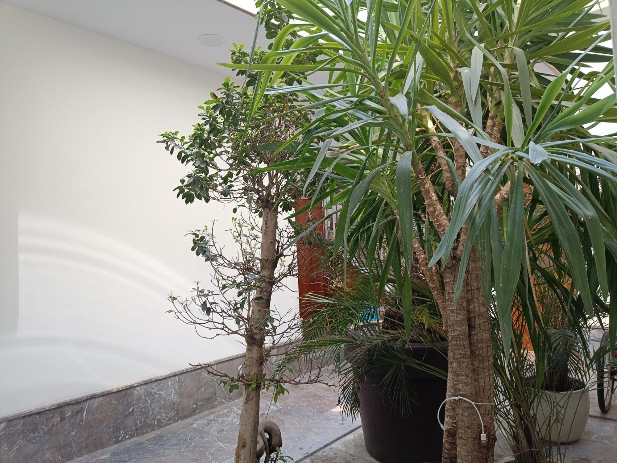 Apartamentos Luxury Puente De Triana Séville Extérieur photo